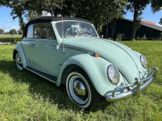 Käfer Cabrio 1965 body off restaurierd. 1