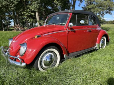 Käfer Cabrio 1965 body off restauriert..