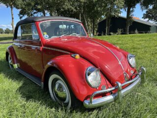 Käfer Cabrio 1965 body off restauriert.. 6