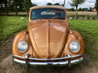 VW Käfer Cabrio 1966 Woody Special – Verkauft 2