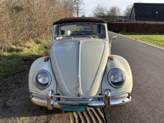 Käfer cabrio 1964 (model 1963) restauriert wie neu 3